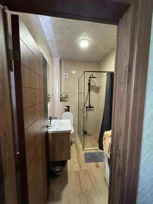 a bathroom with a shower and a sink and a toilet at Kasia in Kravlja