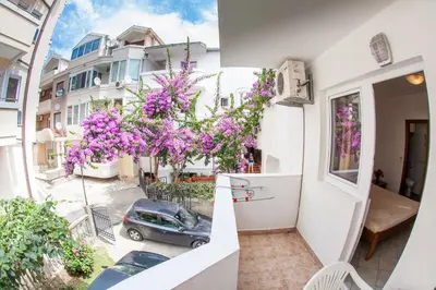 an apartment balcony with purple flowers and a car at Guest House Violet in Becici