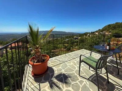 a patio with a potted plant and a table and chair at Villa Kula apartments in Bar