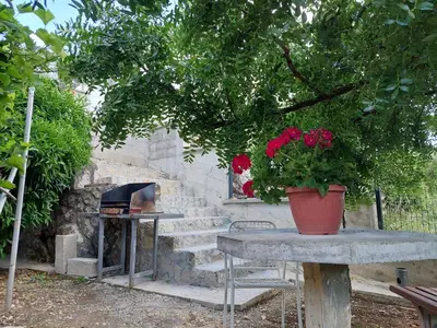 a table with a potted plant on it next to a stone oven at Apartments Ivana in Ulcinj