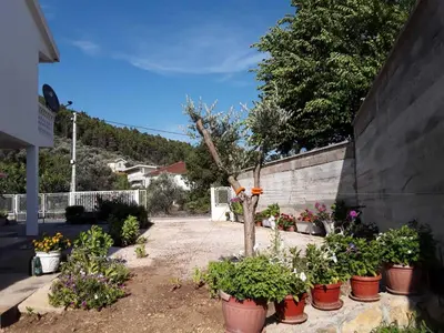 a group of potted plants in a yard at Apartments Ivana in Ulcinj