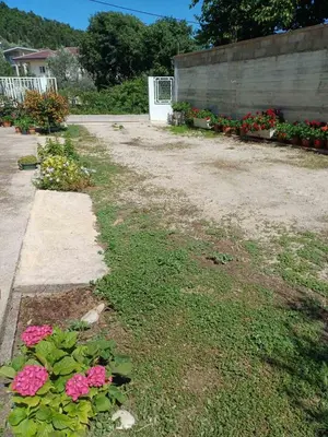 a garden with pink flowers in a yard at Apartments Ivana in Ulcinj