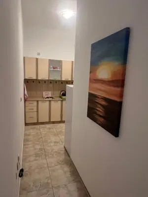 a kitchen with a painting hanging on a wall at Riva apartman in Sutomore