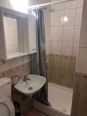 a bathroom with a sink and a toilet and a shower at Riva apartman in Sutomore