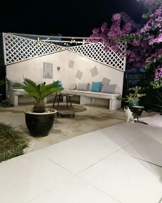 a cat is walking in a patio with a bench at Carpe Diem 1 in Ulcinj