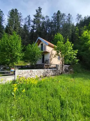 a house in the middle of a grassy field at Cottage in nature of Cetinje in Cetinje