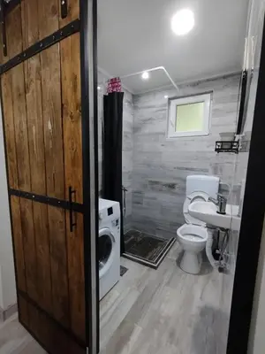 a bathroom with a toilet and a washing machine at Cottage in nature of Cetinje in Cetinje
