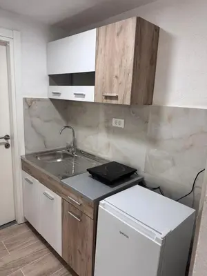 a small kitchen with a sink and a refrigerator at Rajkovic Stay Bukovik in Bukovik