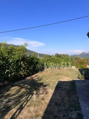 a view of a yard with bushes and trees at Rajkovic Stay Bukovik in Bukovik
