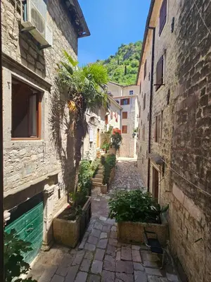 an alley in a town with a pool and buildings at patrik in Kotor