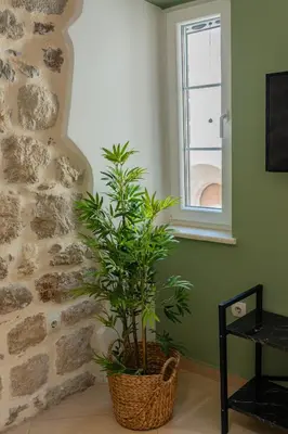 a plant in a basket next to a stone wall at Casa Campana in Kotor