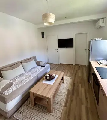a living room with a couch and a table at Apartman Živaljević 1 Tivat in Tivat