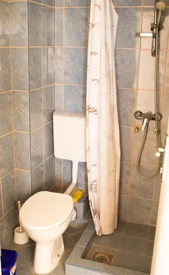 a bathroom with a toilet and a shower at Vila Kraljica Snežna in Kravlja