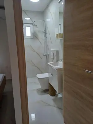 a bathroom with a toilet and a sink and a shower at Apartment Brijest-Kotor in Kotor