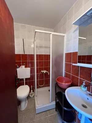 a bathroom with a shower and a toilet and a sink at Apartmani MiS in Dobra Voda