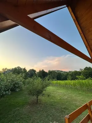 a view of a vineyard from a roof at Valley Nest in Virpazar