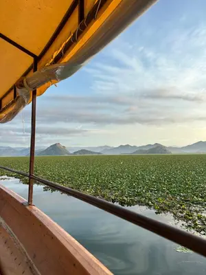 a boat in the middle of a field of plants at Valley Nest in Virpazar