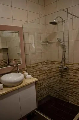 a bathroom with a sink and a shower at Apartman Staša in Kravlja