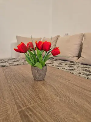 a vase of red tulips sitting on a coffee table at Ajum Apartments in Ulcinj