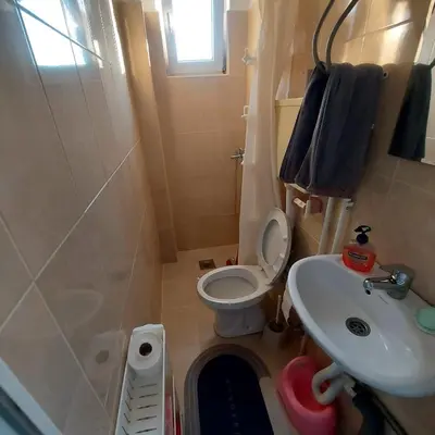 a small bathroom with a toilet and a sink at House in Nature Milić in Čanj