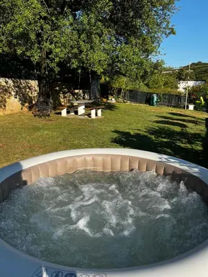 a circular hot tub in a yard with a tree at House in Nature Milić in Čanj