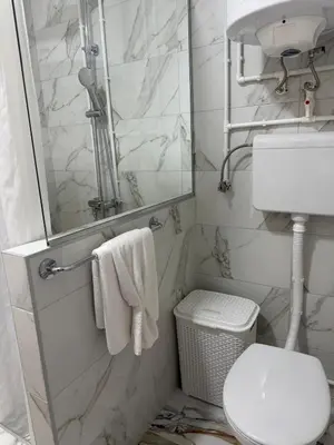 a bathroom with a toilet and a sink and a mirror at Peony in Budva