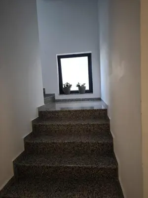 a stairway with two potted plants in a window at Bienvenue chez nous studio in Ulcinj