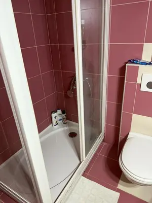 a bathroom with a shower and a toilet at two bedroom apartment with parking in Petrovac na Moru