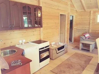 a kitchen with a stove and a sink in a cabin at Sweet one bedroom cottage Ada Bojana - Ulcinj in Ulcinj
