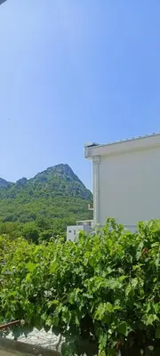a bunch of green plants next to a building at Sweet home in Sutomore