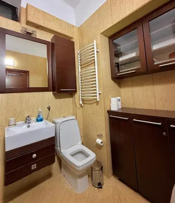 a bathroom with a toilet and a sink at Bokeska apartment in Podgorica