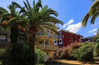 a palm tree in front of a building at Palm Park Budva in Budva