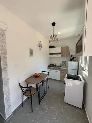 a kitchen with a table and chairs in a kitchen at Deaf Valley Apartment 1 in Reljići