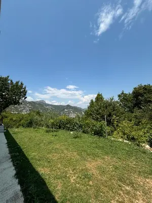 a grassy field with trees and a blue sky at Deaf Valley Apartment 1 in Reljići