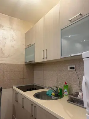 a kitchen with a sink and a white refrigerator at Apartman Martina 3 in Rafailovici