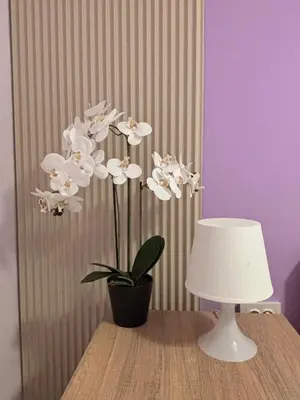 a vase of white flowers on a table next to a lamp at Vuko i Magdalena Midzor in Petrovac na Moru