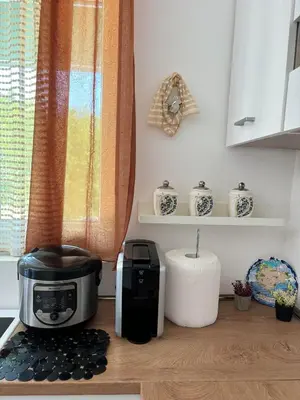 a kitchen counter with a toaster and a toaster and a coffee maker at Deaf Valley Apartment 2 in Reljići