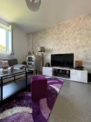 a living room with a tv and a purple rug at Deaf Valley Apartment 2 in Reljići