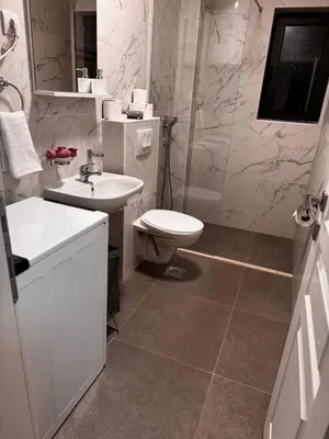 a bathroom with a toilet and a sink at Villa Anastasija in Kotor