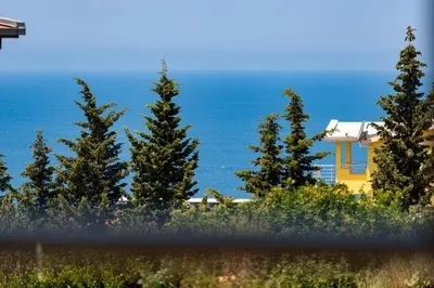 a yellow house with trees and the ocean in the background at OliveRock Apartments - Hladna Uvala in Kruče