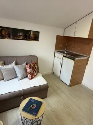a living room with a couch and a kitchen at Apartments Martiva in Kotor