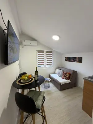 a living room with a couch and a table at Apartments Martiva in Kotor