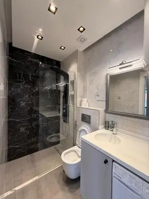 a bathroom with a toilet and a sink and a shower at Apartment with balcony sea view and Parking B12 in Budva