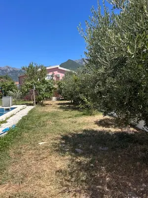 a row of olive trees in front of a house at Villa Alidah Avkoppling med utsikt, pool och fruktträd in Bar