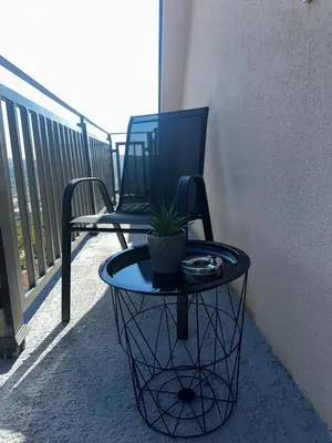 a table with a potted plant on a balcony at Apartments ML in Kotor