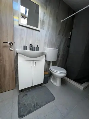a bathroom with a sink and a toilet and a shower at Apartments ML in Kotor