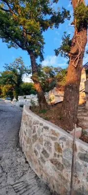 two trees sitting next to a stone wall at House with pool and seaview in Kuljače