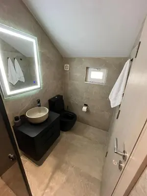 a bathroom with a sink and a toilet at Petra & Vuk Apartments Kotor in Kotor