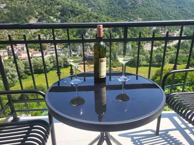 a bottle of wine and two glasses on a table at Riječki grad Apartments in Rijeka Crnojevića