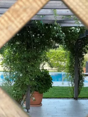 a patio with a plant in a pot next to a pool at Andrej home in Šušunja